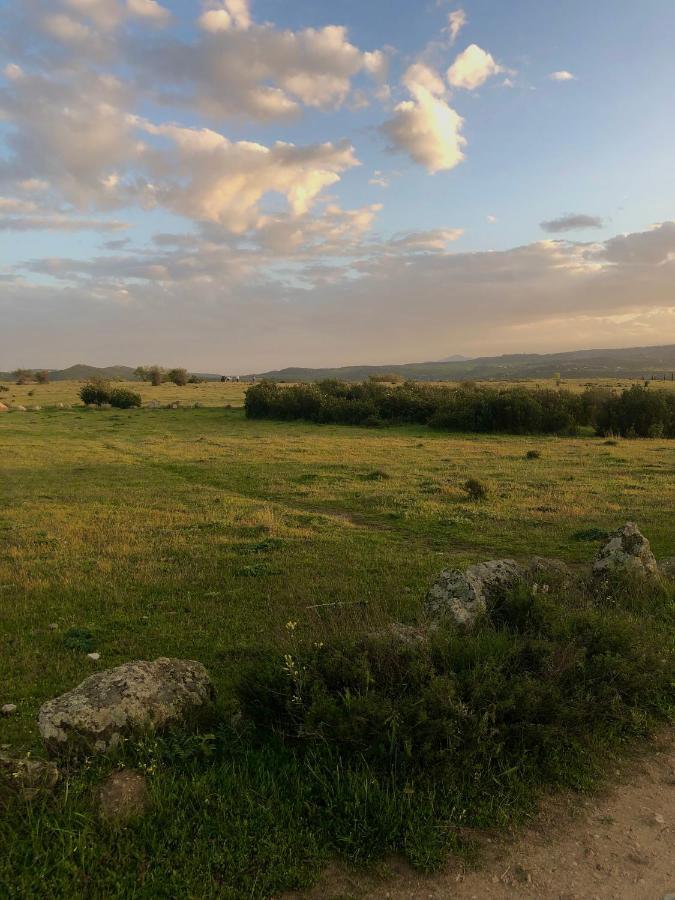 El Lago Cervera de Buitrago Exteriér fotografie